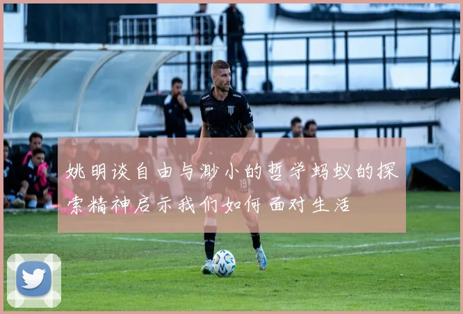 姚明谈自由与渺小的哲学蚂蚁的探索精神启示我们如何面对生活